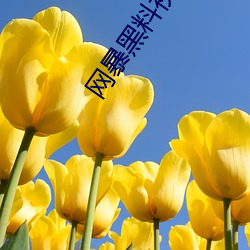 网暴黑料视频