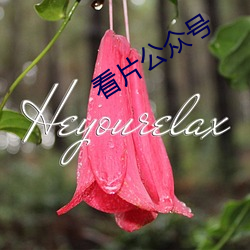 看片公众(zhòng)号