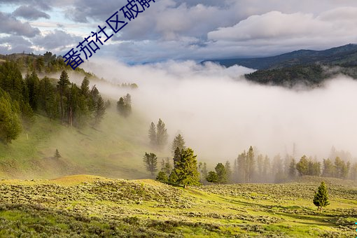 番茄社区破解