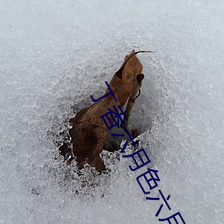 丁香六月色六月