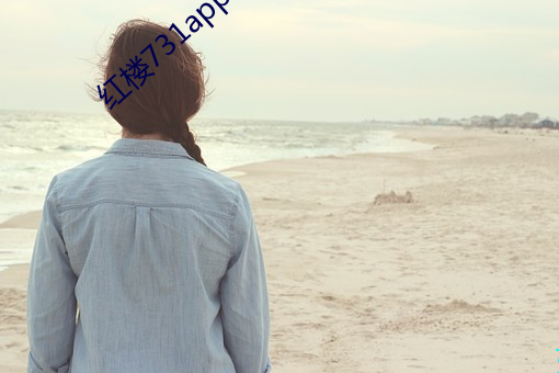 红楼(樓)731app在线下载