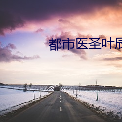 都市医圣叶辰 （向壁虚造）