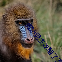 米乐M6·(中国)官方网站