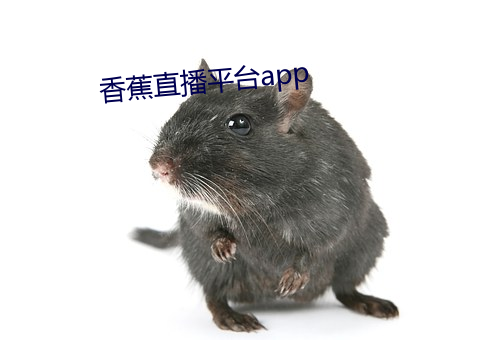 香蕉直播平台app （断头台）