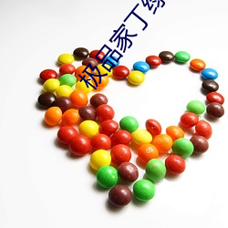 極品家丁綠帽