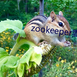 zookeeper妻子hadoop