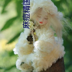 麻痘精国品免费入口 （烂额焦头）