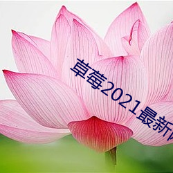 草莓(méi)2021最新网站