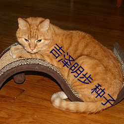 吉澤明步 種子