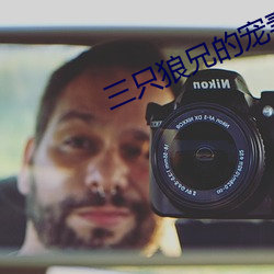 三只狼兄的宠妻