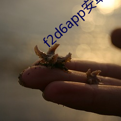 f2d6app安卓下载
