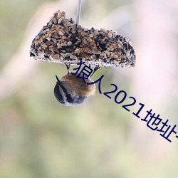 狼人2021地址一地址二