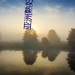 亚洲熟妇(fù)在线
