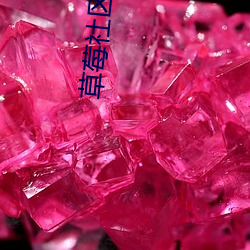 草(cǎo)莓社区(qū)直播app