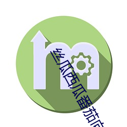 丝瓜西瓜番茄向日葵奶茶