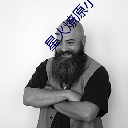 星火燎原小说