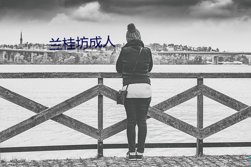 兰桂坊成人 （差不多）