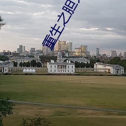 重生之胆大包天 （知人善任）