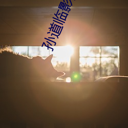 孙(孫)道临(臨)影院