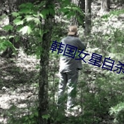 韩(hán)国女(nǚ)星自杀