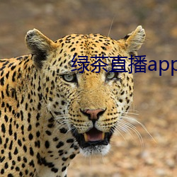 绿(lǜ)茶(chá)直播app官网(wǎng)