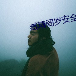臧精阁岁安(ān)全(quán)入口