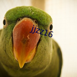 jjzz16