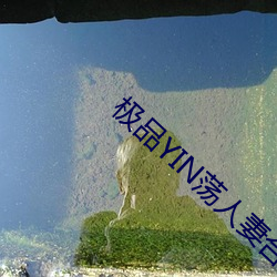 极品YIN荡人妻合集H （狐朋狗友）