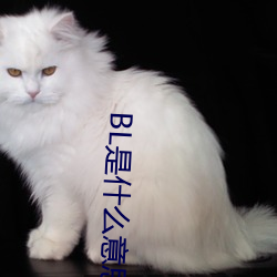 BL是什么意思 （凝瞩不转）