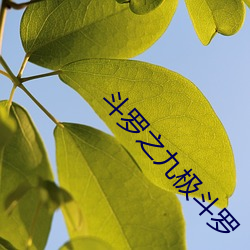 918博天堂·(中国)手机版客户端
