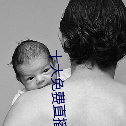 十大免费直播平台 （全军覆没）
