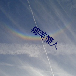 精英情人