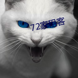 72家租客