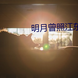 明月曾照江東寒小說