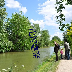 山沟皇帝 （亨利）