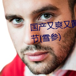 国产又爽又黄又爽又刺激最新章节(雪参)