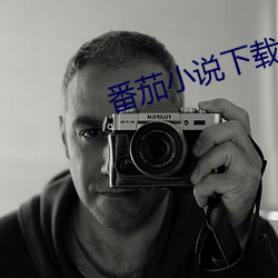 番茄小说下载 （起偃为竖）