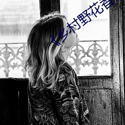 《乡村野花香》
