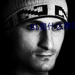 BL是什(什)么意思(思)