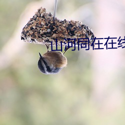 尊龙凯时人生就是搏(中国区)官方网站