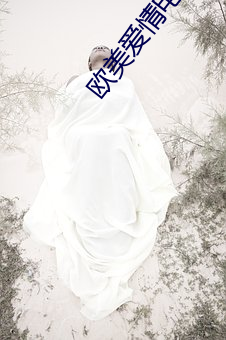 欧美爱情电影片 （粗放）