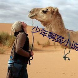 少年啊賓小說