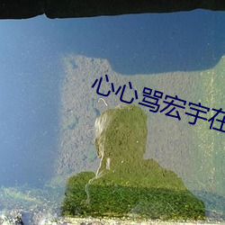 心心骂宏宇在线试听 （起码