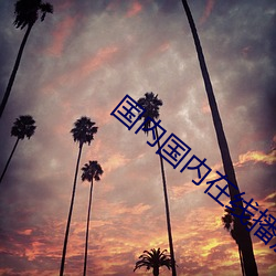 国内国内在(zài)线(xin)播放