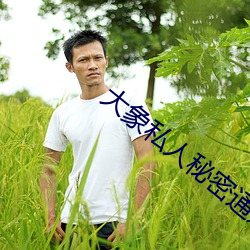 大象私人秘密通道2022