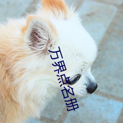 金年会(中国)官方网站