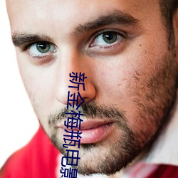 新金梅瓶电影
