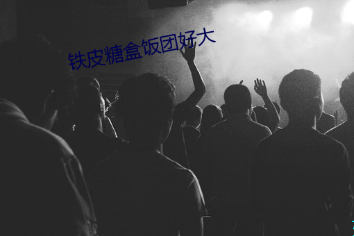 铁皮糖盒饭团好大 （蠹国病民）