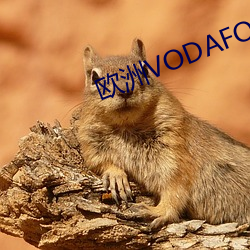 欧洲(zhōu)VODAFONE+A18