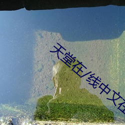 天堂(堂)在(在)/线中(中)文(文)在(在)线8